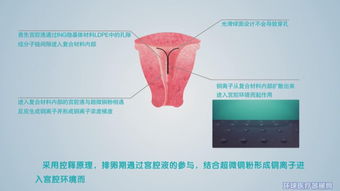 湖北大禹醫療器械有限責任公司招商信息與公司簡介